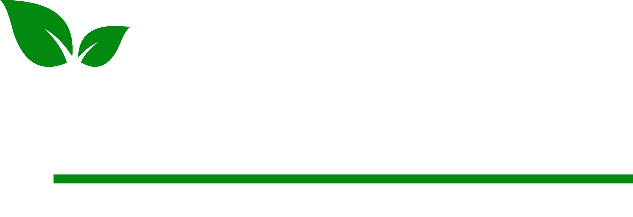 IstrawU_logo